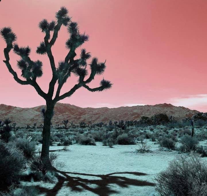 Eye Love Hue Paint & Products Dusty Desert Pink- Renewed Spirit Collection Acrylic Mineral Paint Chalk Paint Clay Paint