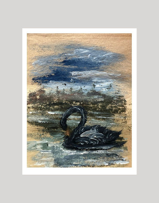 Black Swan | 11×14 Art Print