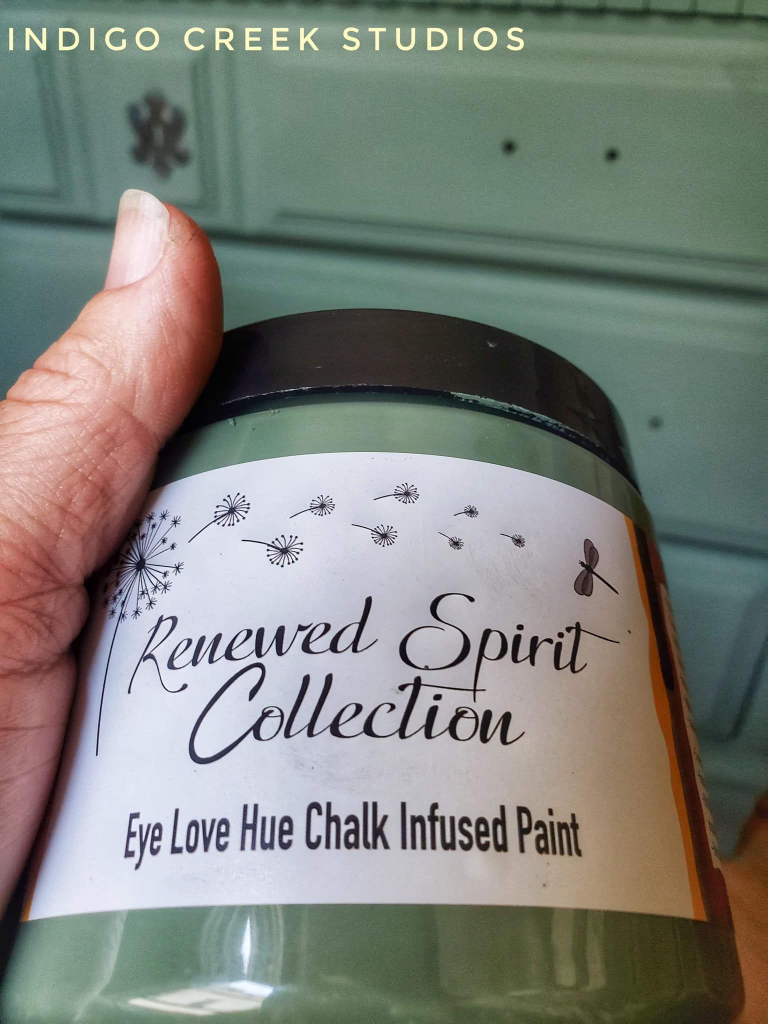 Eye Love Hue Paint & Products Cactus Green- Renewed Spirit Collection Acrylic Mineral Paint Chalk Paint Clay Paint